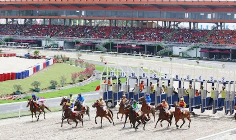 Tìm Hiểu Đua Ngựa 23WIN Với Cách Chơi, Mẹo Cá Cược 2 Cá cược đua ngựa hấp dẫn và kịch tính tại 23WIN