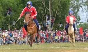 Đua ngựa 23WIN